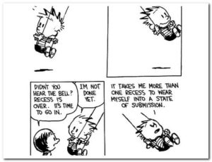 calvin-and-hobbes